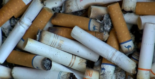 Students Create 'Greener' Alternative to Cigarette Butts
