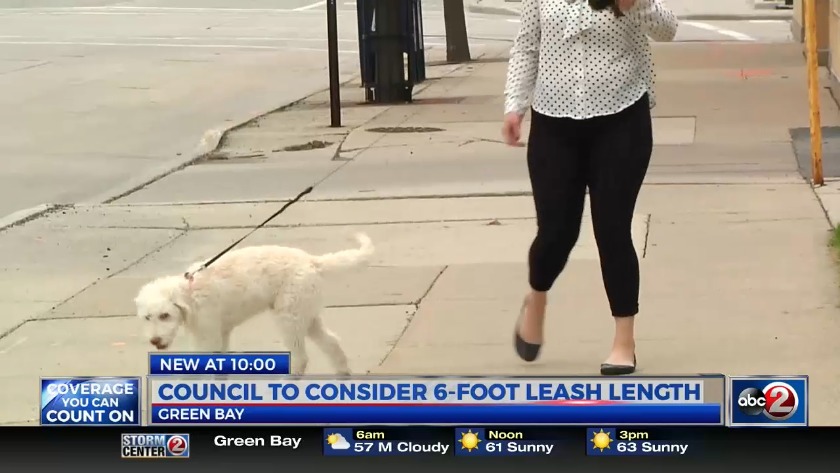 10 foot leash