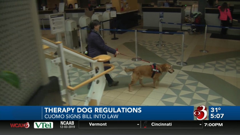New Laws On Therapy Dogs In New York
