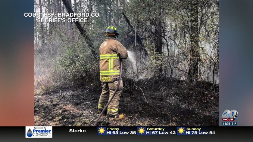 Bradford Court Reports