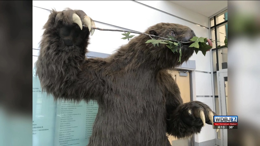 Giant Sloth Compared To Human