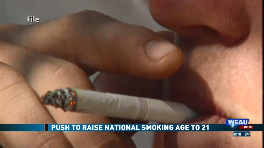 should you keep tobacco in the fridge How to Store Whole Leaf Tobacco
