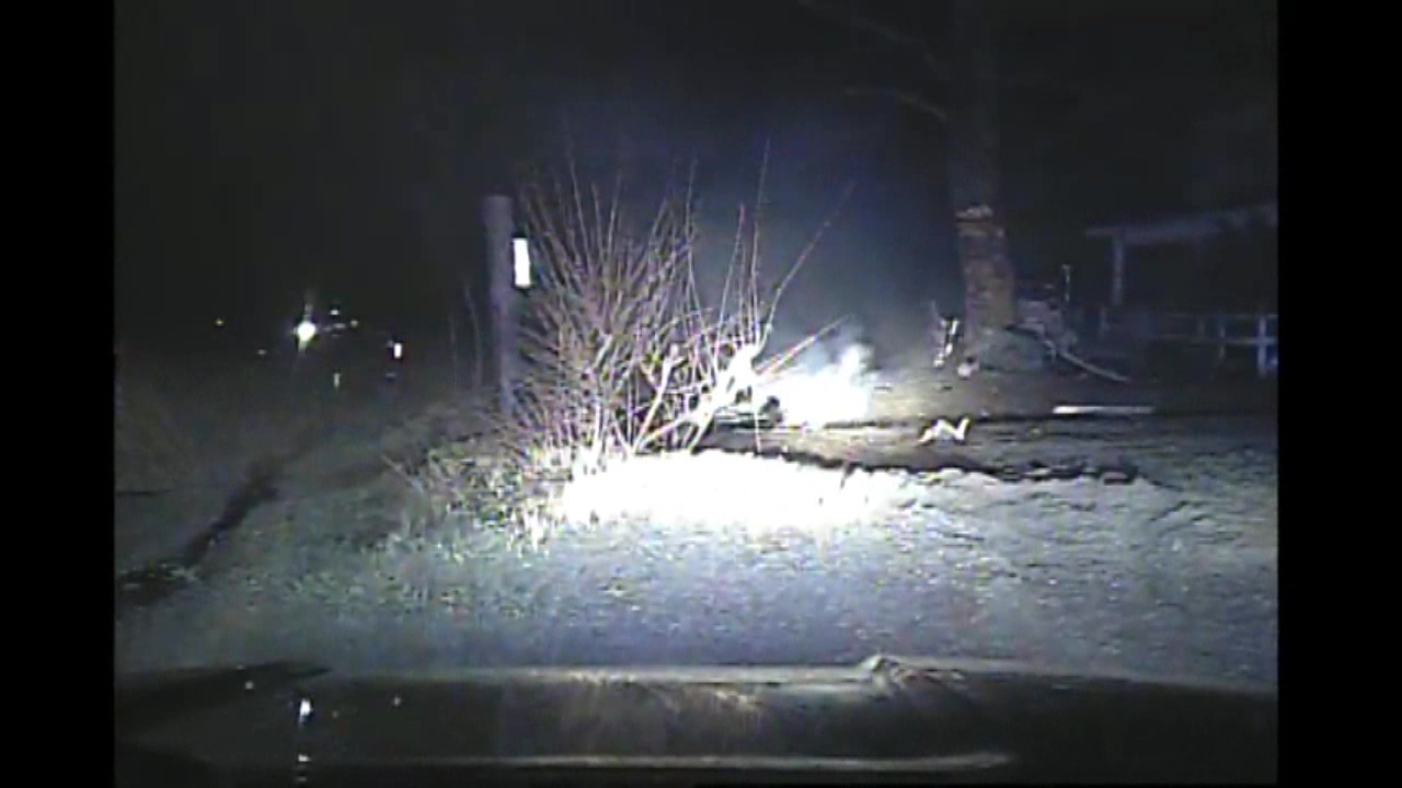 3 killed after Berrien County police chase ends in crash; victims